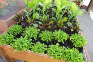 How to Build a Salad Table — and Why Everyone Should