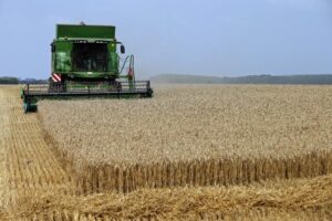 Farmers’ financial pain spills from Kansas wheat fields to Main Streets By Reuters