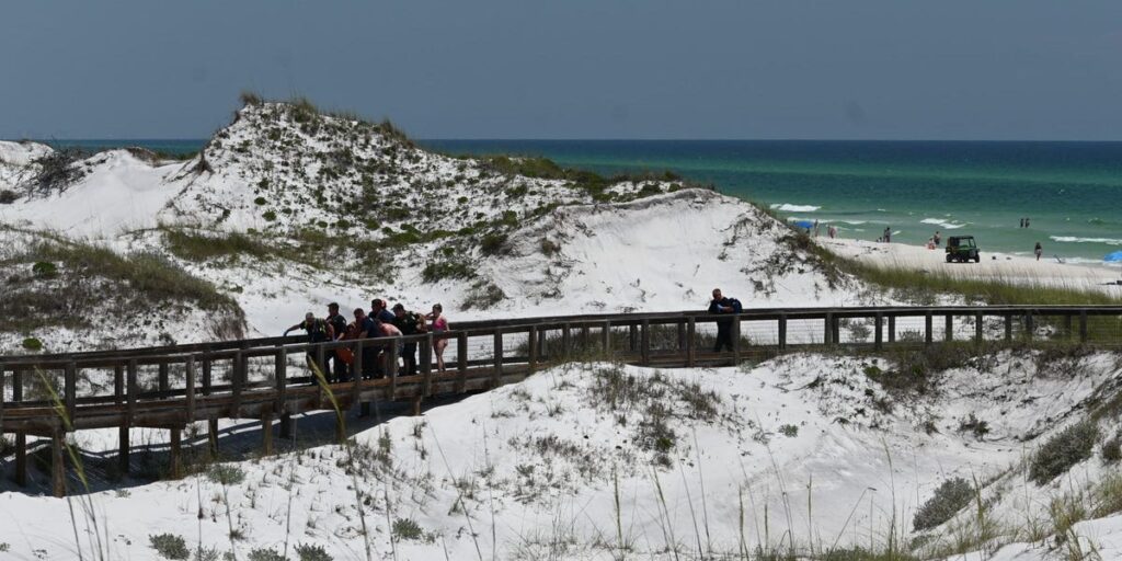 Back-to-back shark attacks in Florida, 2 critically injured. Why the Sunshine Sate tops the rankings of shark bites globally.