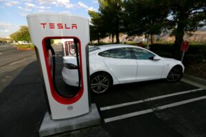 Tesla turns to Musk’s small shareholder fans to back  billion payday By Reuters