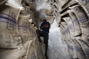 Low prices, pay delays drive Ghana cocoa farmers to smugglers By Reuters