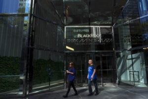 BlackRock’s robust Q2 2024 performance with record AUM By Investing.com