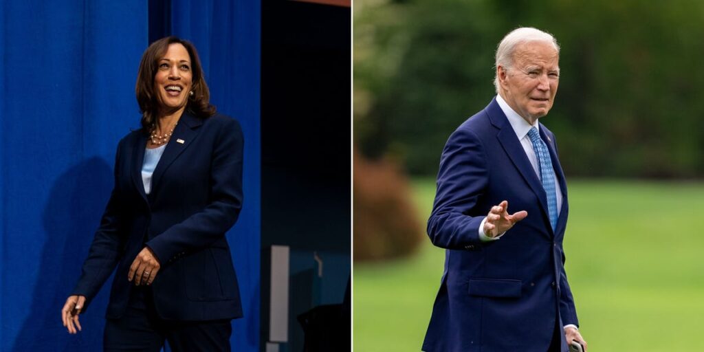 Kamala Harris won’t save Democrats if she takes over for Biden, warns historian who correctly predicted 9 of the last 10 elections