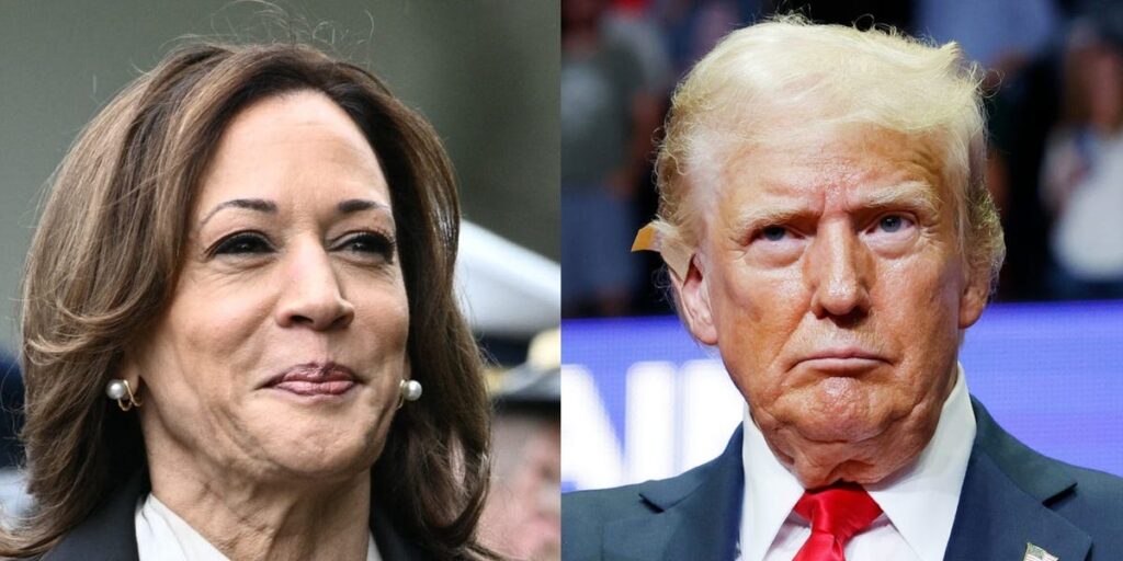 Trump pollster is already warning his rattled team that Harris is going to jump ahead in the polls