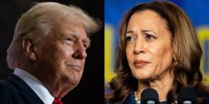 A key Obama-era strategist says Kamala Harris may be riding the hype wave, but it’s still Trump’s race to lose