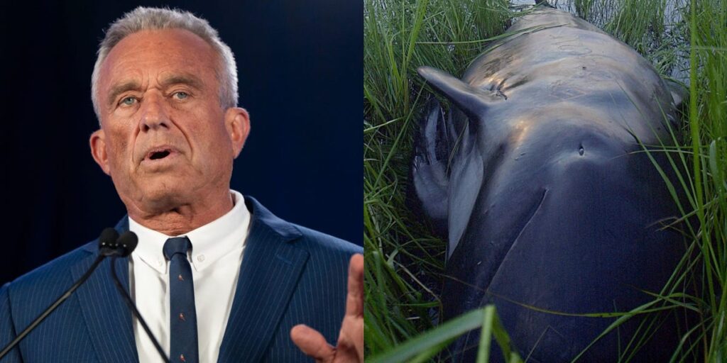 A wild story about RFK Jr. and a dead animal has resurfaced, thanks in part to the Bennifer rumor mill