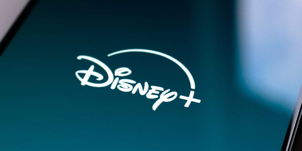 Disney is arguing in a wrongful-death case that the terms of a Disney+ account extend to its theme parks