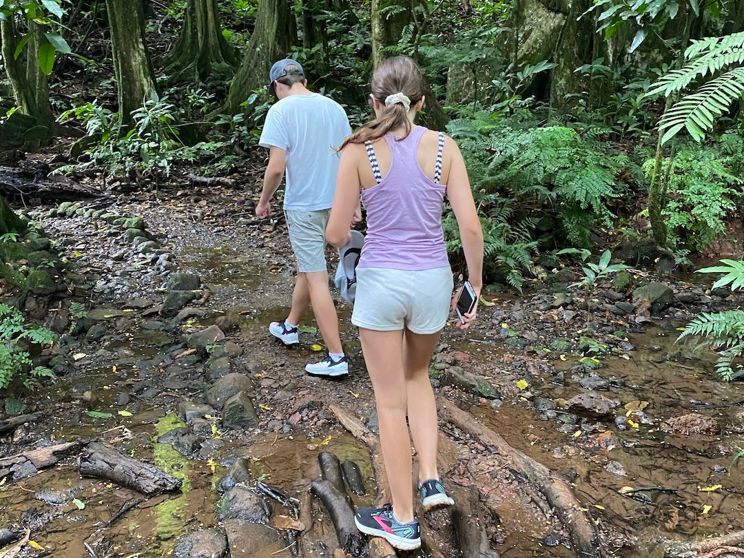 Two kids hick through a muddy jungle