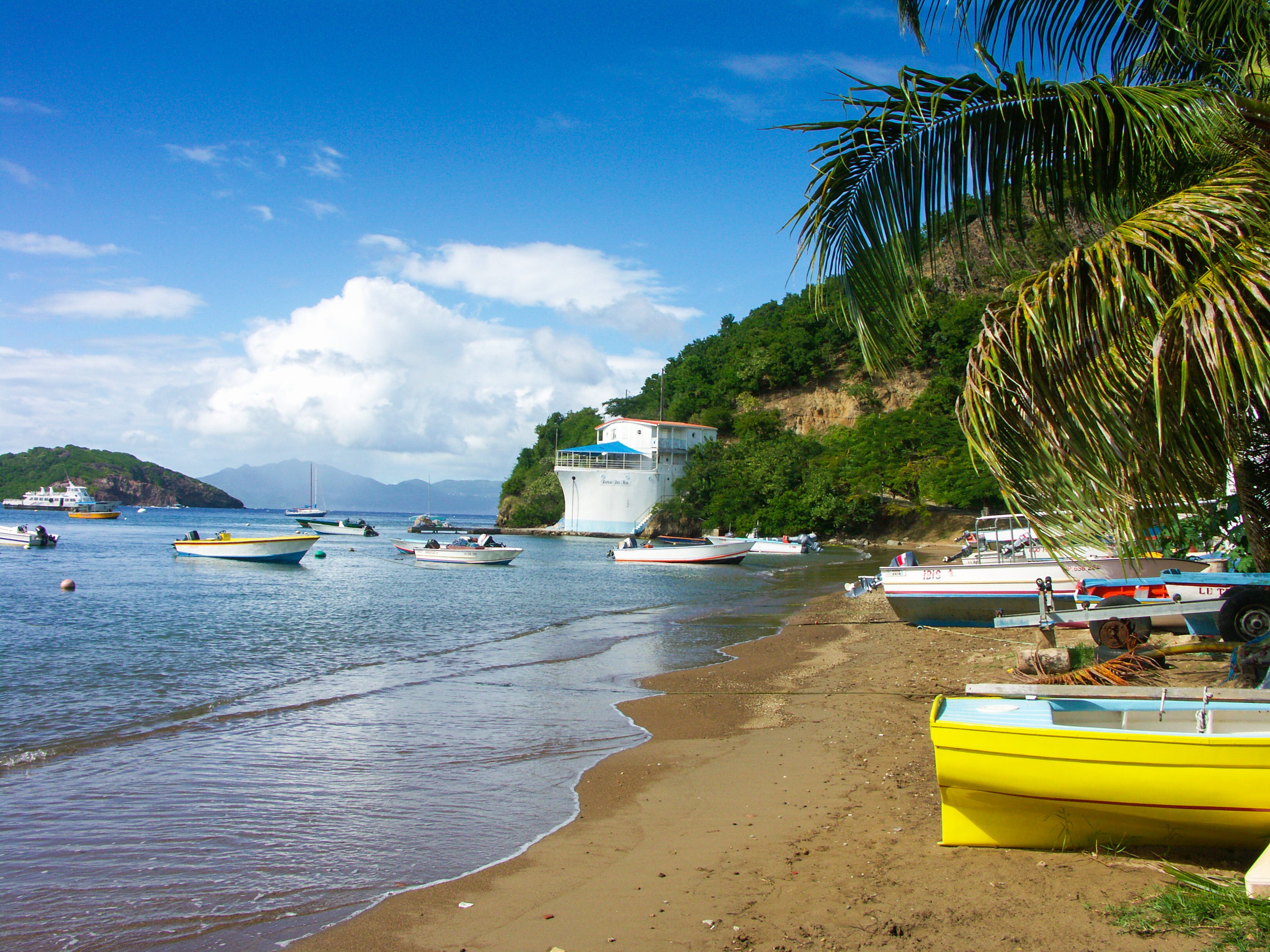 A shore with the ocean on the left and sand and palm trees on the right. There are several colorful boats in the water and on the shore