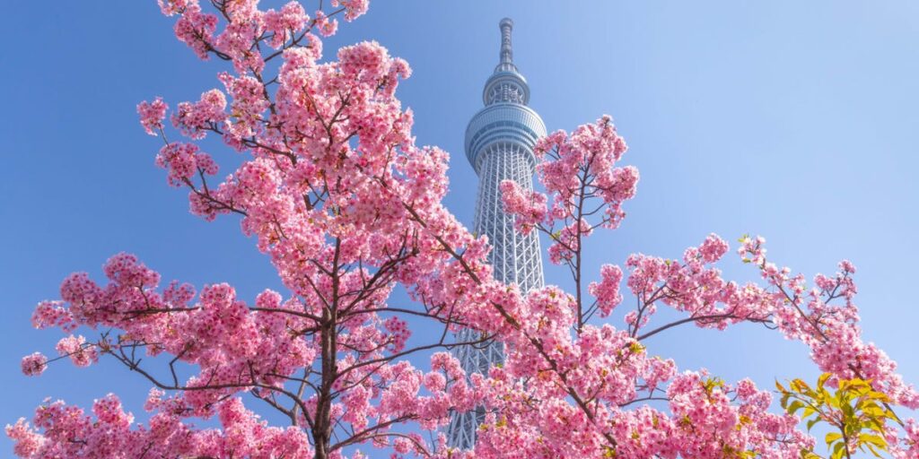 Japan is encouraging Americans to visit with free domestic flights. Here’s how to book.