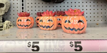 I went Halloween shopping at Five Below with a  budget and think the competition should be scared