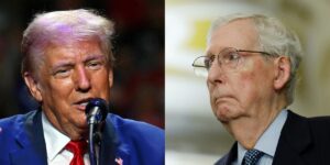 Mitch McConnell goes after Trump’s trade policy: ‘I’m not a tariff fan’