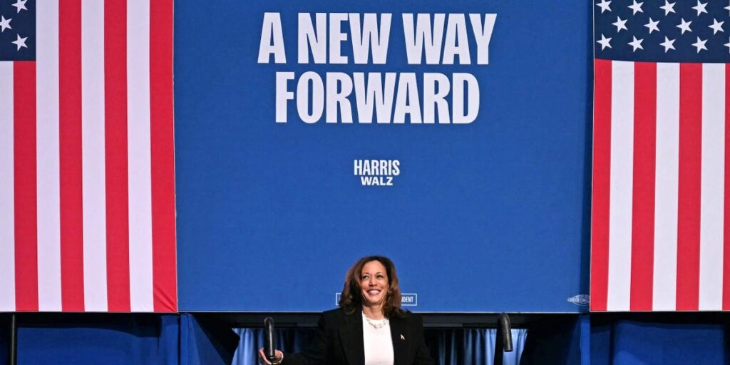 America sort of likes Kamala Harris – and that might just be enough