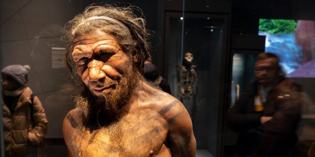 Scientists discovered a unique line of Neanderthals and it’s helping solve the mystery of humanity’s last great extinction