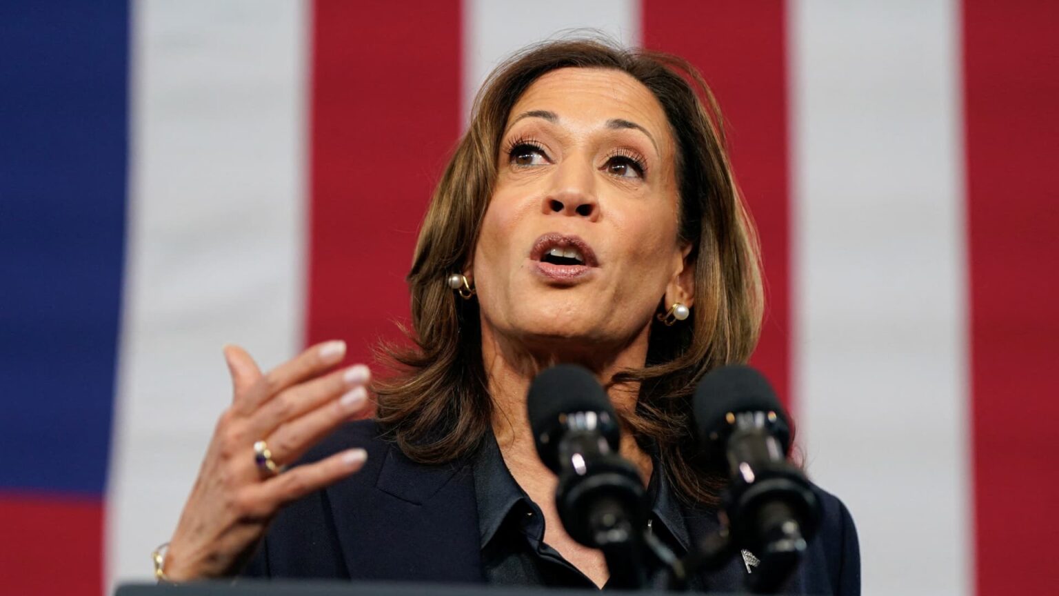 Harris proposes 1 million forgivable loans to Black entrepreneurs, as Trump makes inroads