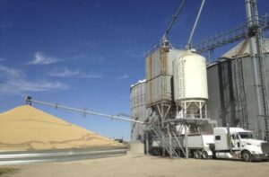 Speedy US corn and soy harvests strain farmers, storage capacity By Reuters