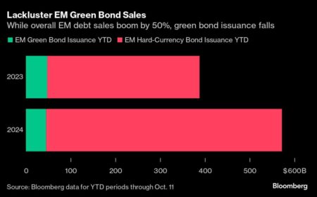 ESG’s Appeal Fades in Emerging Markets as Profit Seeking Eclipses Virtue