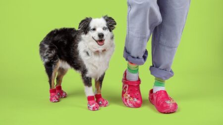 New Croc clogs mean matching togs for your dogs