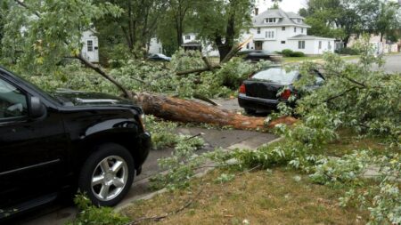 What to Do With a Damaged Car After a Hurricane