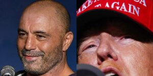 Joe Rogan endorsed Donald Trump, saying Elon Musk made a ‘compelling case’ for the former president