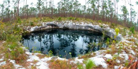 Researchers found a treasure trove of fossils in a Bahamian blue hole that could transform our understanding of the island