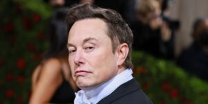 A brief history of Elon Musk’s pets, including a ‘nasty’ Yorkshire Terrier, a cat — and a hedgehog too